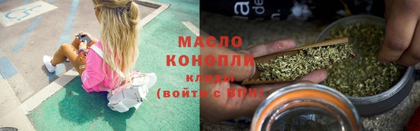 гидропоника Алзамай