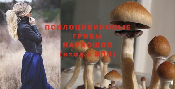 гидропоника Алзамай