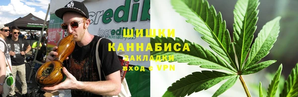 гидропоника Алзамай
