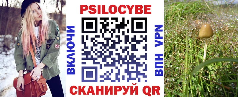 Галлюциногенные грибы Cubensis Серов